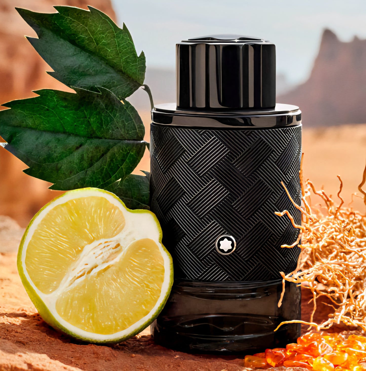 Mont Blanc Explorer Extreme