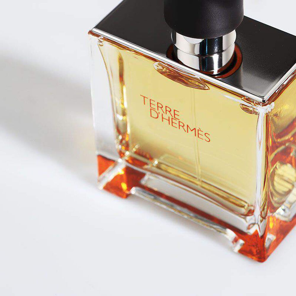 Hermes Terre D'Hermes Giftset 1